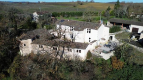 Gite dans un château féodal au coeur de la Toscane occitane Albi-Cordes-Rabastens